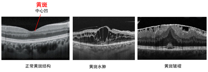 微信图片_2025-06-25_084925_837