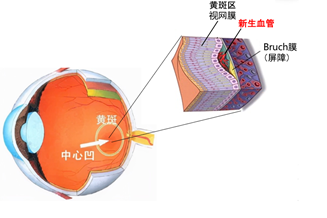 微信图片_2025-06-25_084917_749