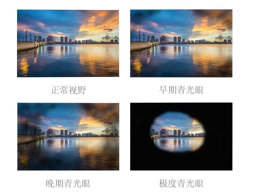 微信图片_2025-07-22_092404_230