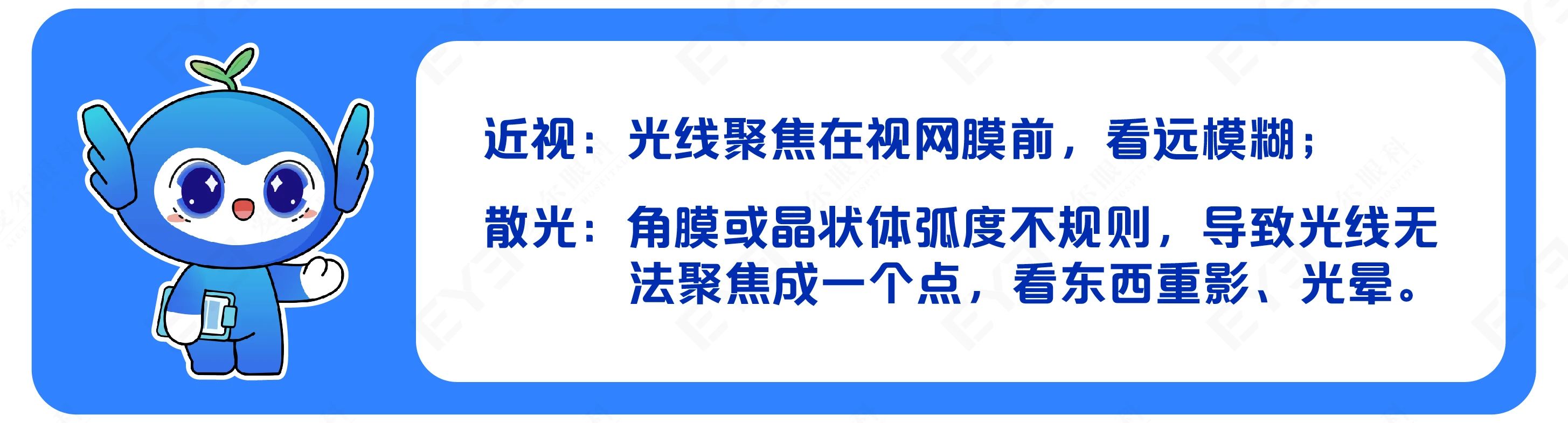 微信图片_2025-07-09_085549_688