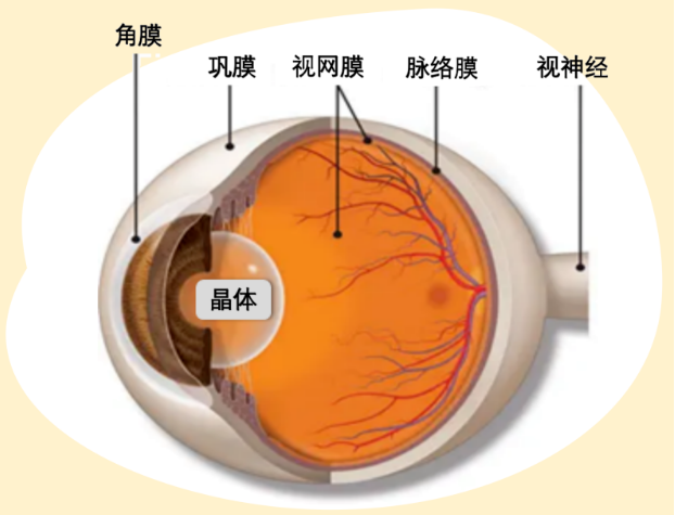 微信图片_2025-07-24_154907_881