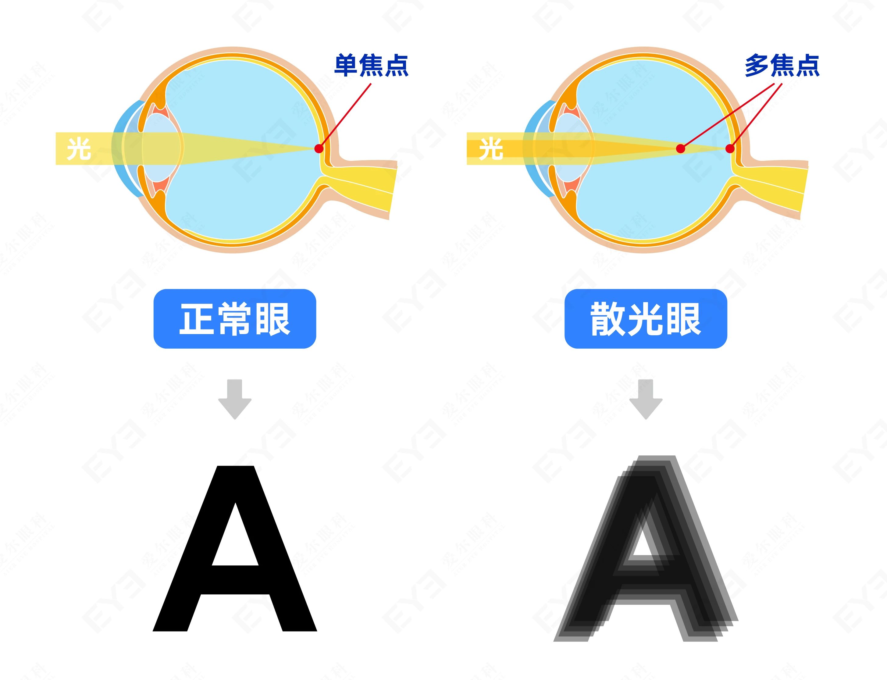 微信图片_2025-07-09_085603_688