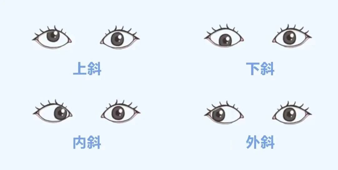 微信图片_2025-08-22_093602_677