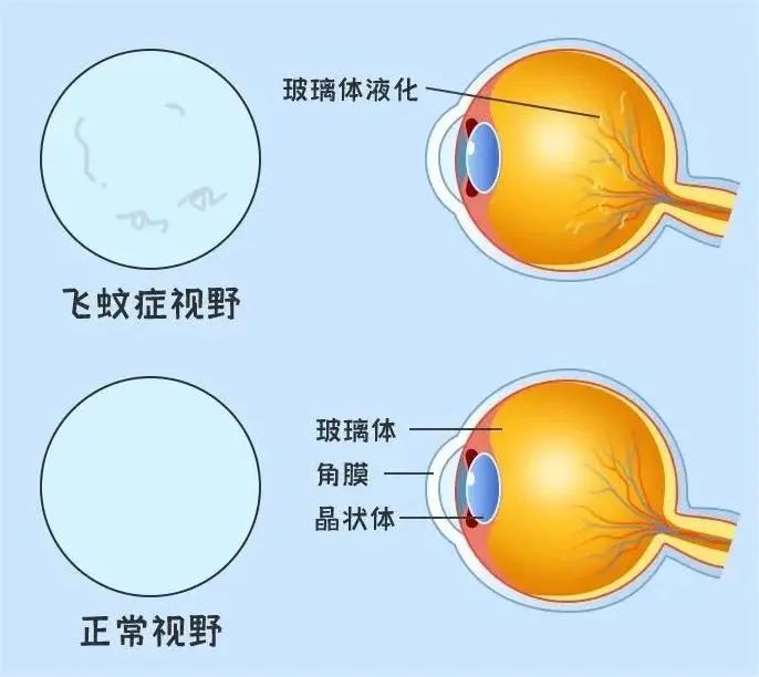 微信图片_2025-08-01_093622_994