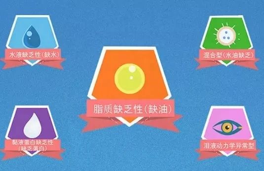 微信图片_2025-08-06_095611_556
