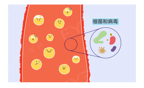 微信图片_2025-09-12_091604_850