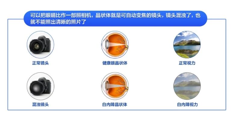 微信图片_2025-09-09_094702_198