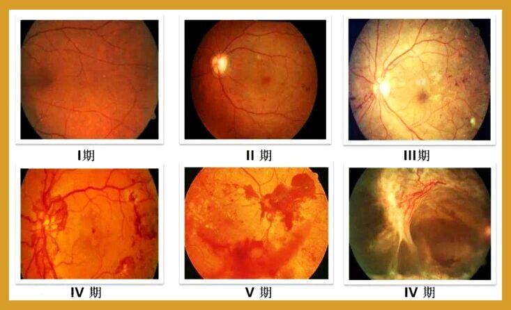 微信图片_2025-09-23_095331_618