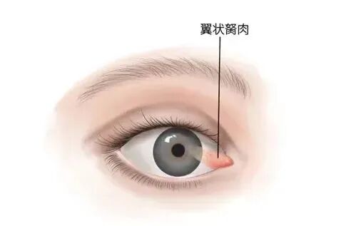 微信图片_2025-09-15_101457_479