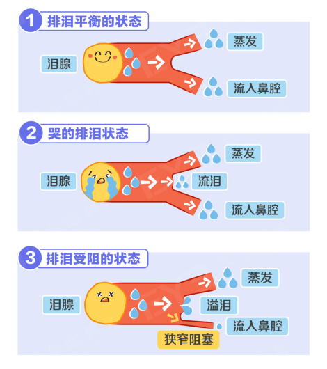 微信图片_2025-09-12_091532_748
