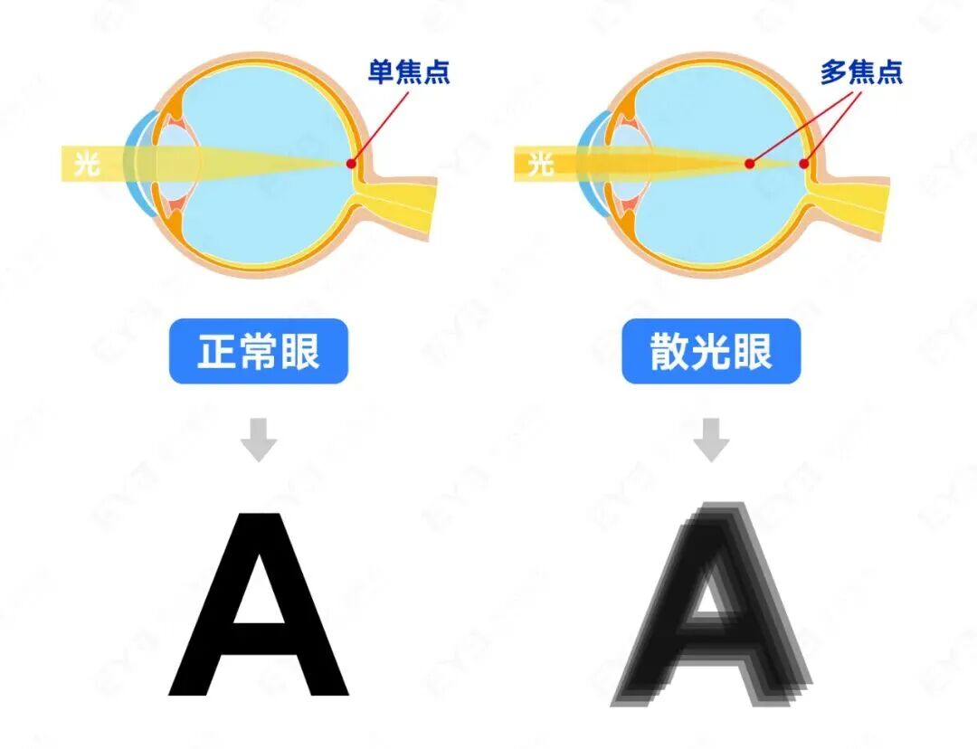 微信图片_2025-09-08_093830_733