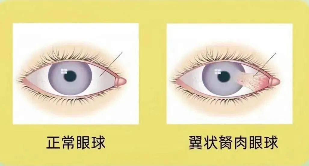 微信图片_2025-09-15_101500_565