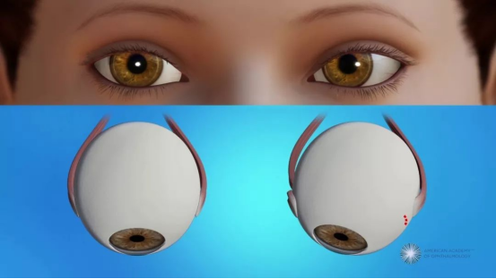 微信图片_2025-07-31_092734_948