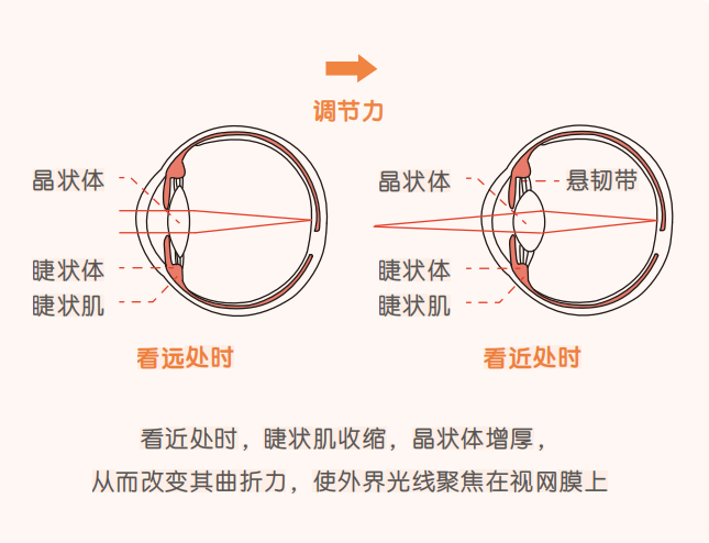 微信图片_2025-08-12_092543_639