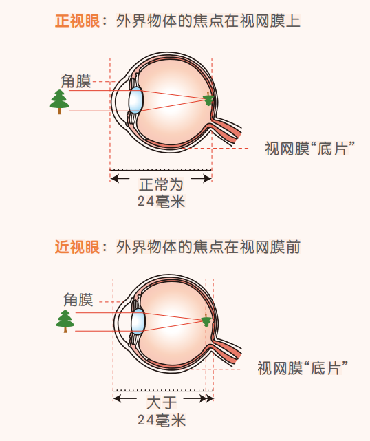 微信图片_2025-08-12_092540_576