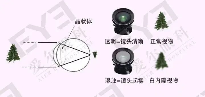 微信图片_2025-09-16_094237_231