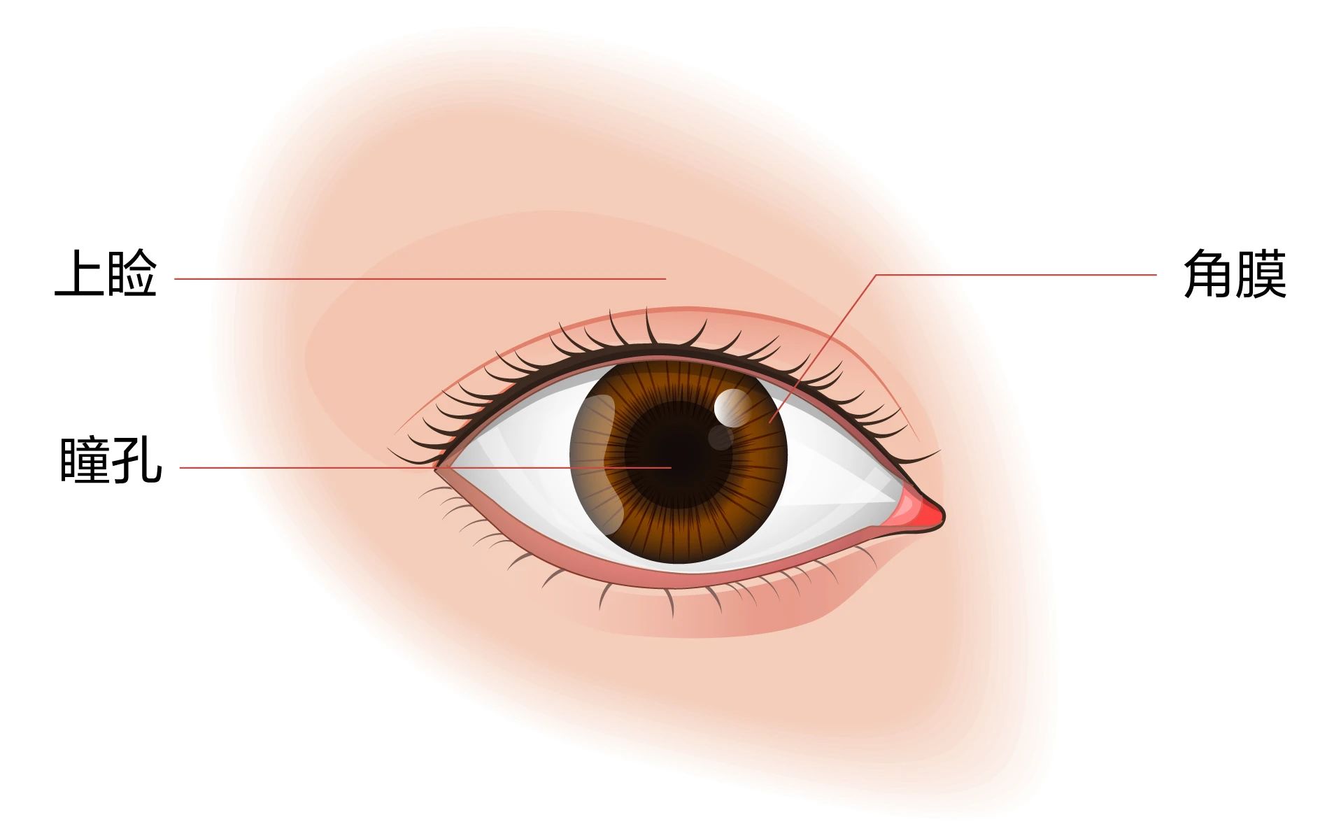 微信图片_2025-09-17_103057_187