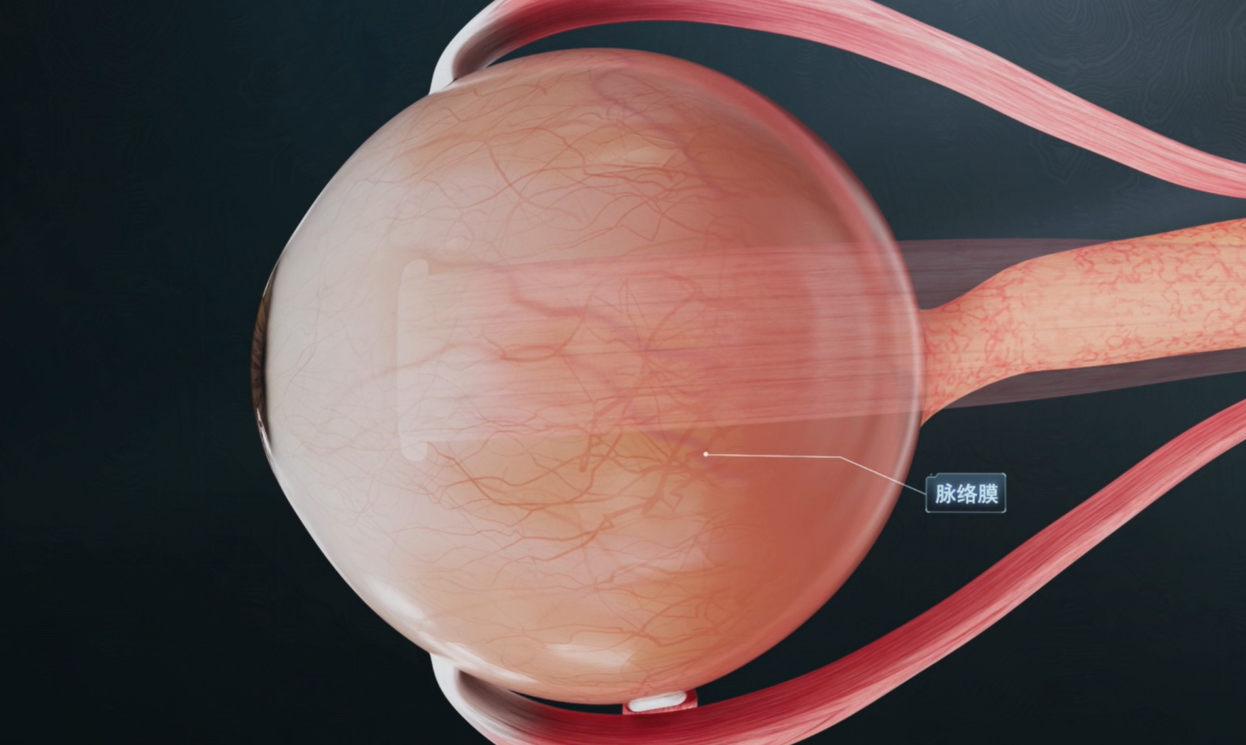 微信图片_2025-09-29_100541_117 微信图片_2025-09-29_100541_117