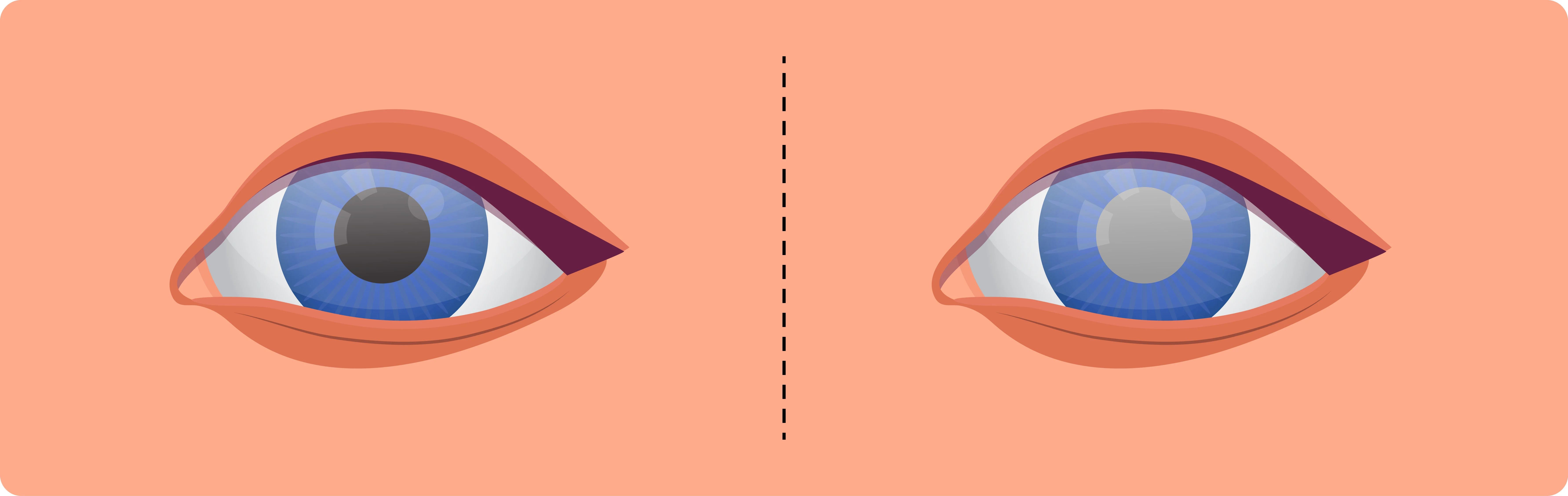 微信图片_2025-09-17_103054_275 微信图片_2025-09-17_103054_275