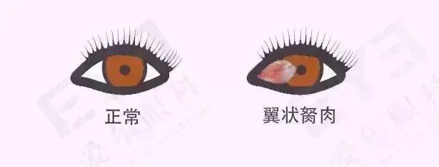 微信图片_2025-09-28_093624_946 微信图片_2025-09-28_093624_946