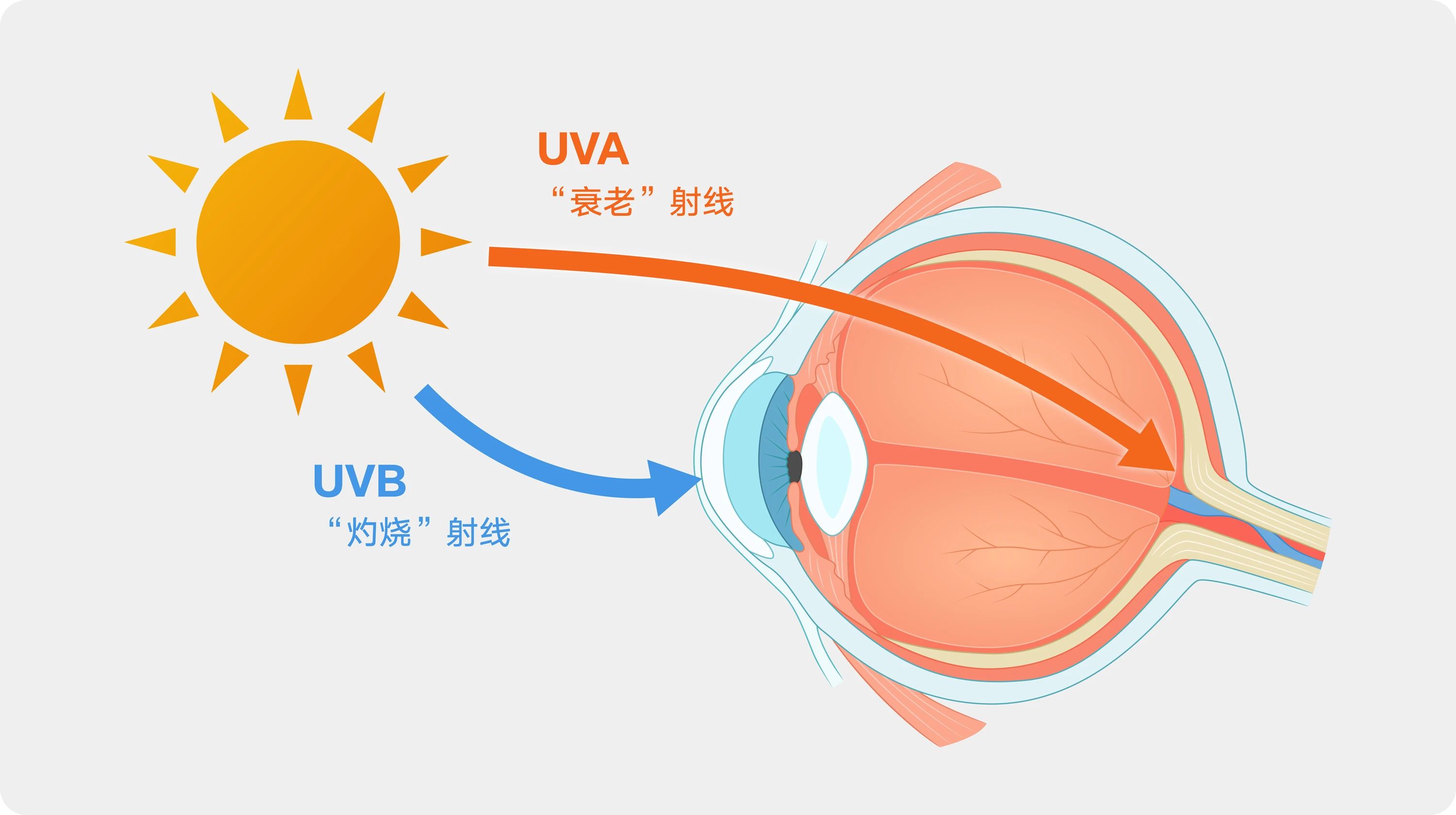微信图片_2025-09-17_103040_384 微信图片_2025-09-17_103040_384