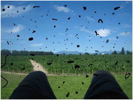 微信图片_2025-09-25_095534_384